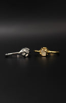 Moon Tide Ring